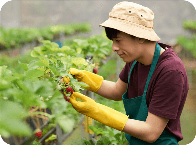 What technology is used in vertical farming?